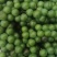 加工厂，无籽巨峰葡萄，罐头厂青果，大量供应