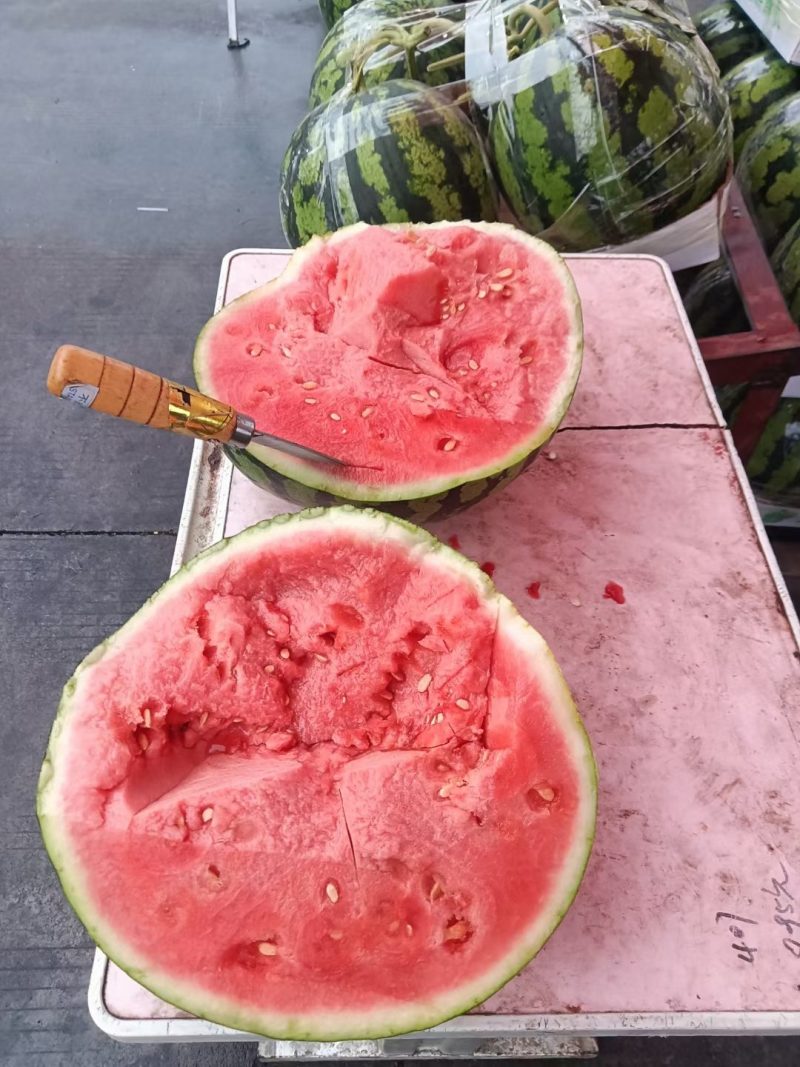宁夏晒砂瓜产地大量供应。全国发货