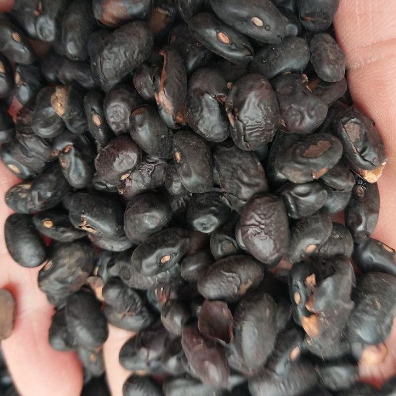豆豉淡豆豉香豆豉豆豉黑豆豉
