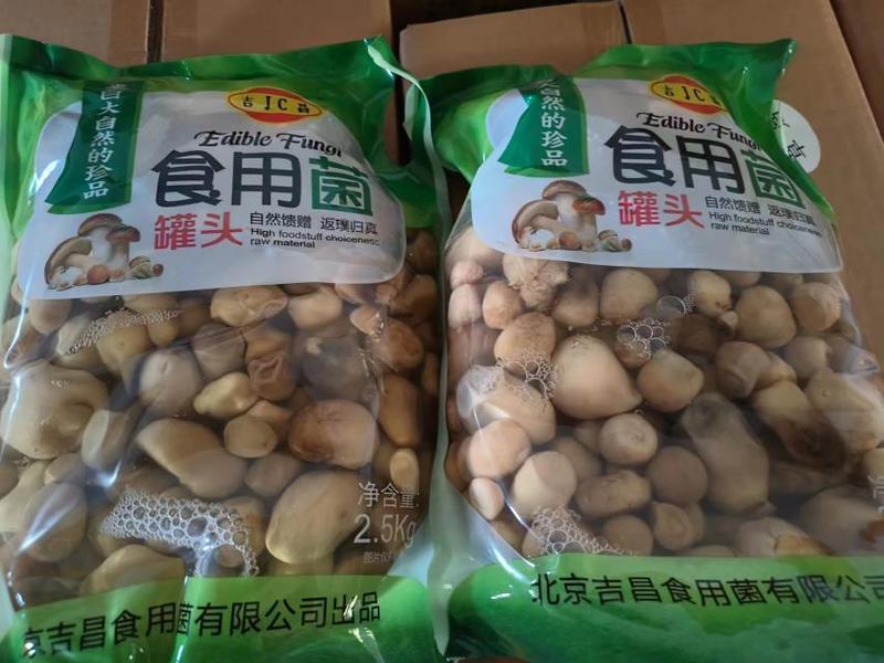 【草菇】蘑菇罐头工厂货源发往全国诚招各地经销商批发商