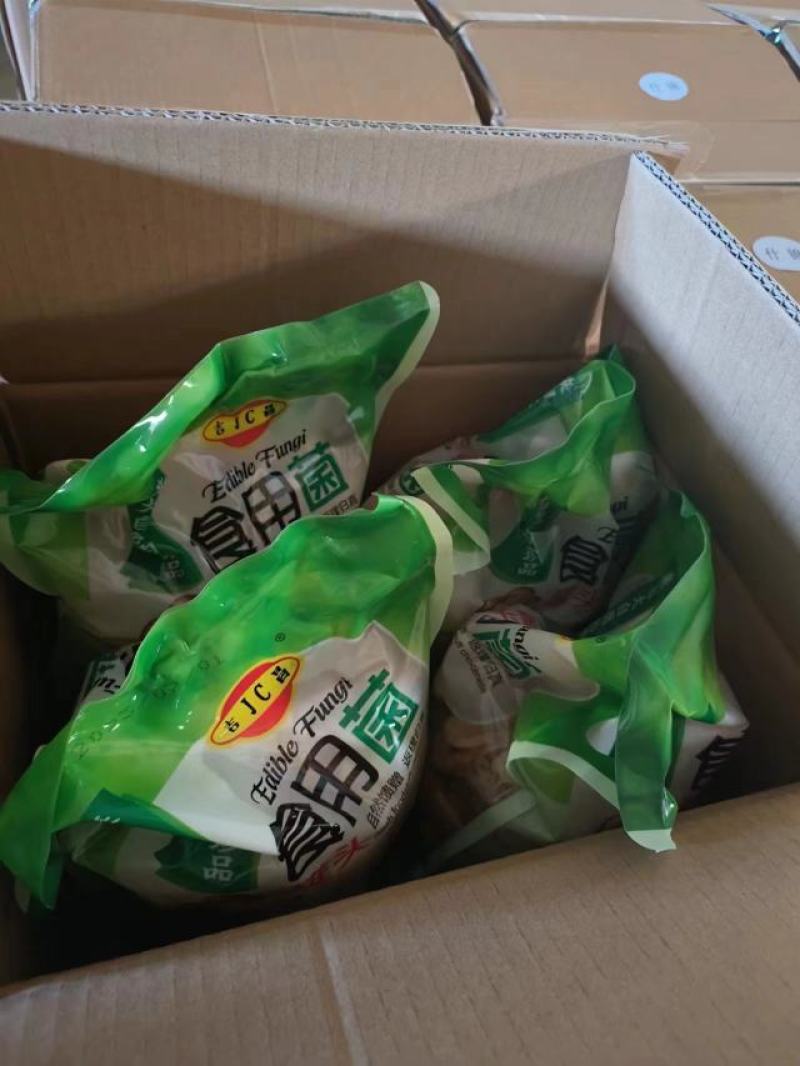 【茶树菇】蘑菇罐头食用菌价格美丽招地区经销商长期合作