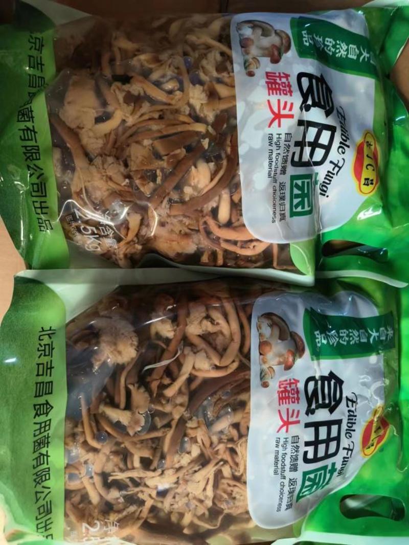 【茶树菇】蘑菇罐头食用菌价格美丽招地区经销商长期合作