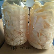 【诚招代理】蘑菇罐头白灵菇片7斤装价格可致电详谈
