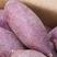 云南红薯紫薯量大从优质量保证产地直供可供全国商超