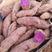 云南红薯紫薯量大从优质量保证产地直供可供全国商超