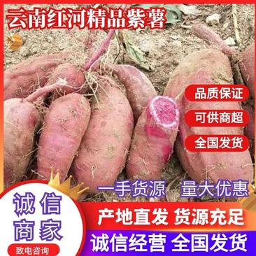 云南红薯紫薯量大从优质量保证产地直供可供全国商超