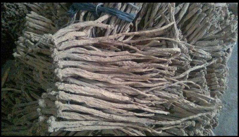 甘肃党参段干货，特优品质，煲汤中药材250g/袋，包邮