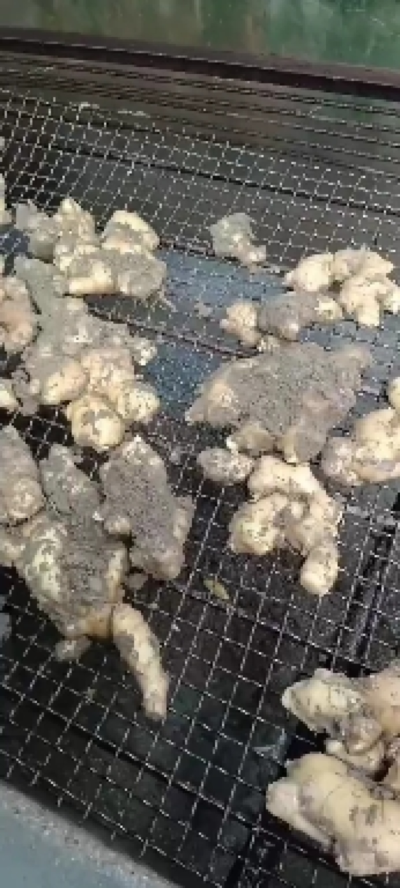 青州生姜颜色好