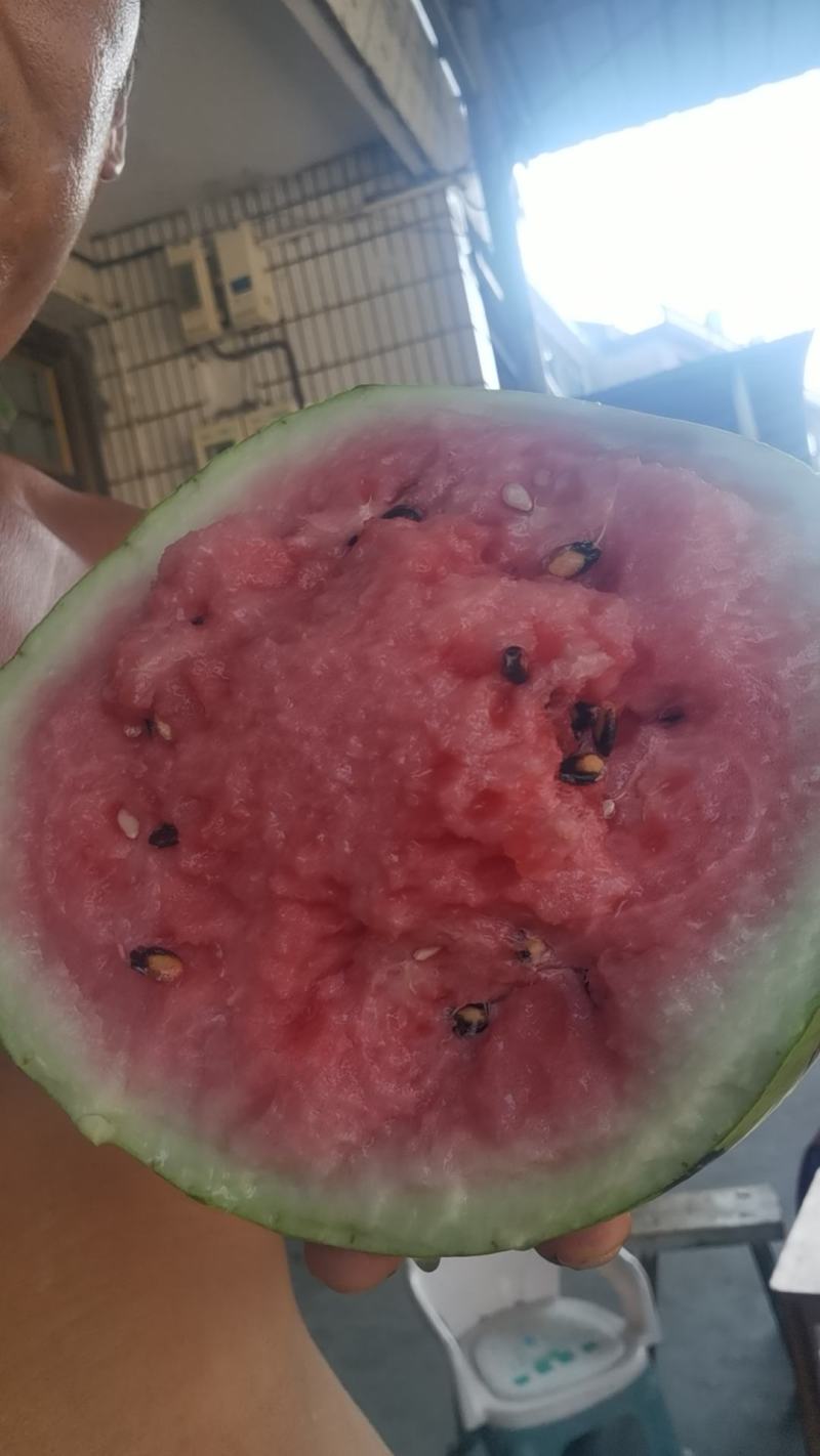 台州市三门县露天的精品8424