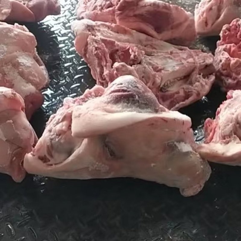生态猪头