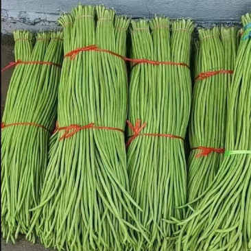 长豆角
