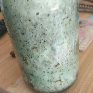 金针菇菌包、真姬菇菌包、鸡腿菇菌包、灰树花菌包、平菇菌包