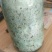 金针菇菌包、真姬菇菌包、鸡腿菇菌包、灰树花菌包、平菇菌包