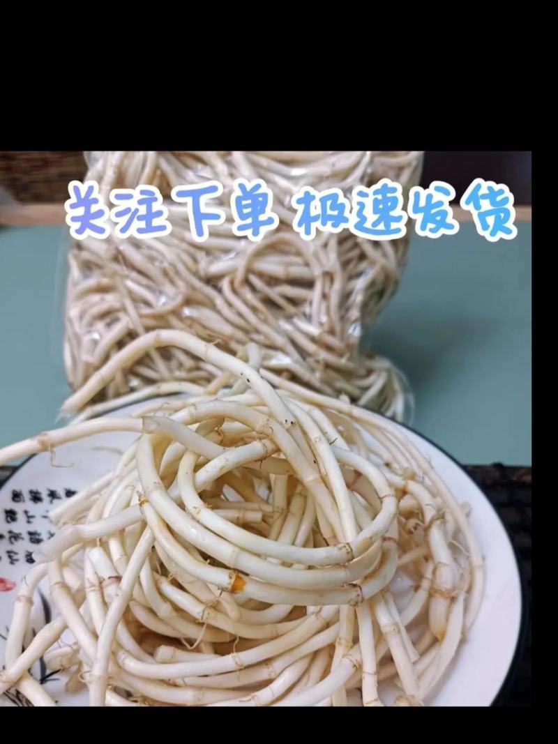 鱼腥草又名折耳根