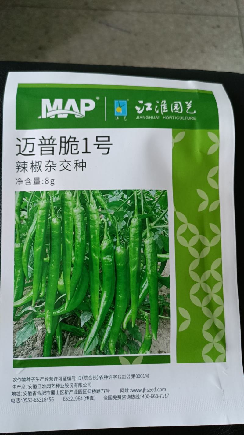 ＿一代交配，先正达旗下公司出品，迈普脆1号辣椒精益求精。
