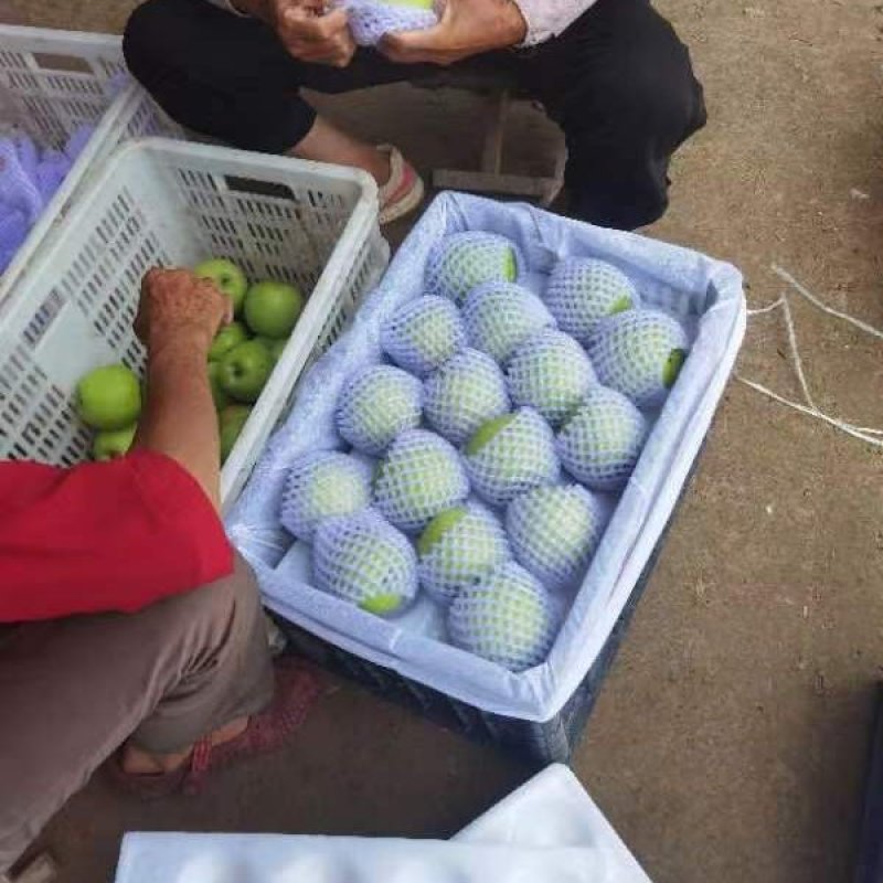 华硕苹果，