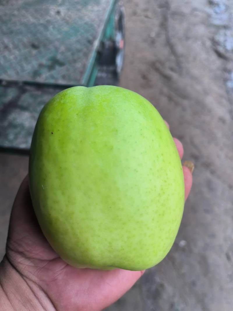华硕苹果，