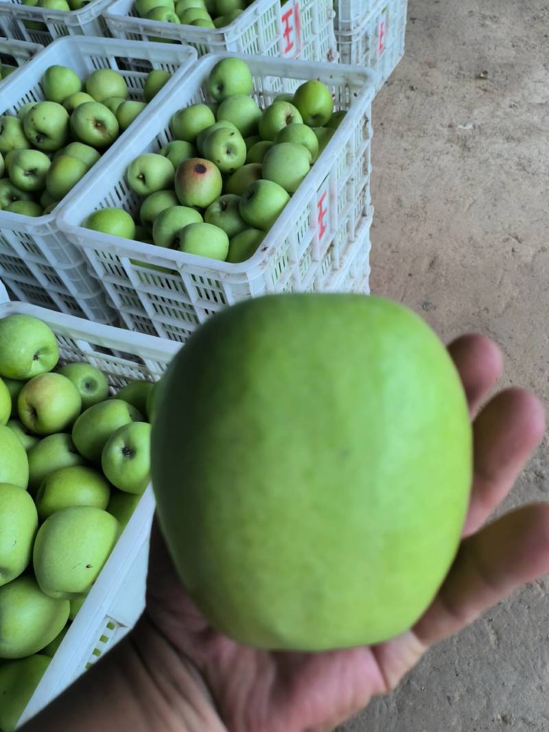 华硕苹果，