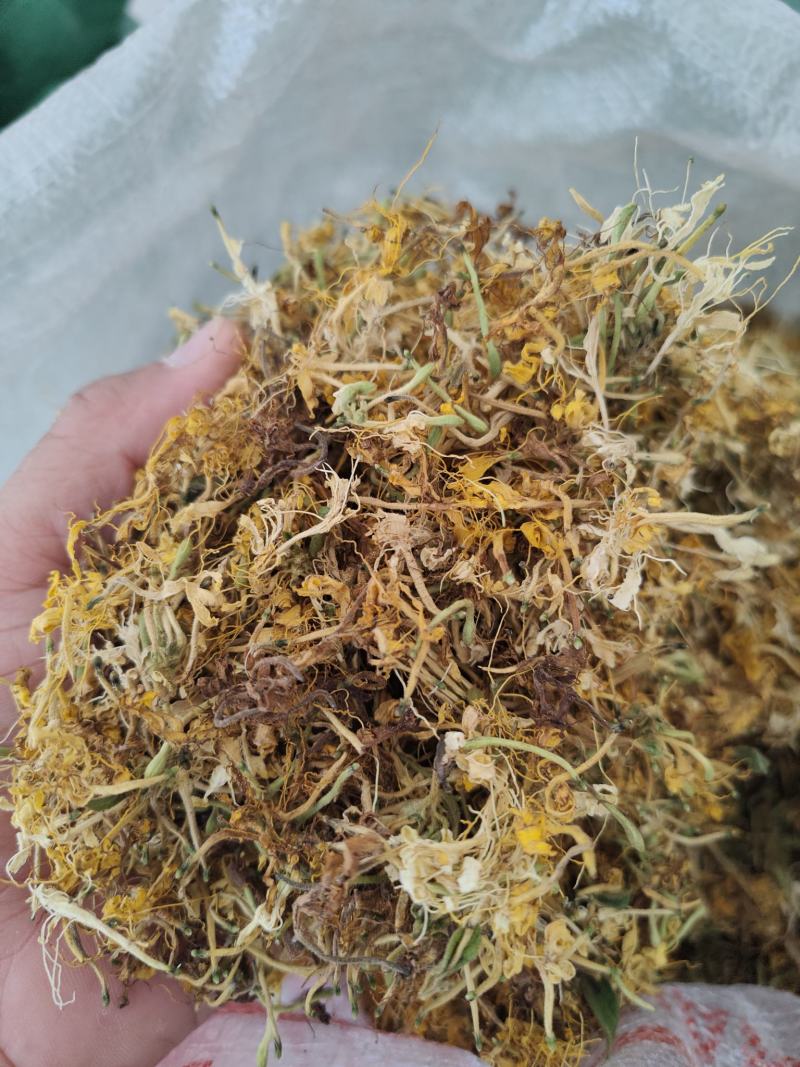 味道清香的金银花品质保证诚信经营价格实惠量大从优