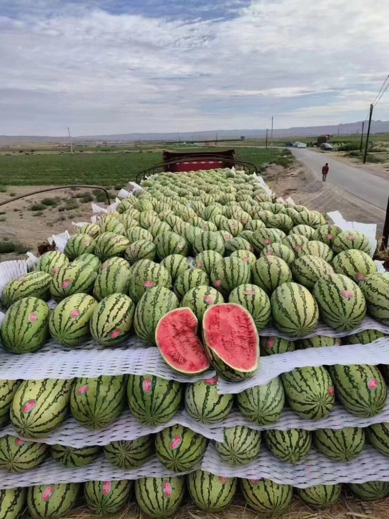 精品宁夏硒砂瓜对接全国客商保质保量包售后欢迎联系