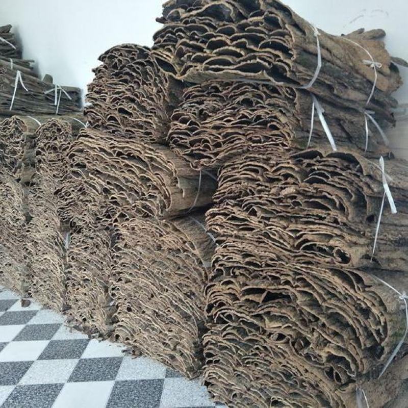 野生杜仲皮批发补腰略阳煲汤药材泡茶泡酒无熏硫杜仲中药材老
