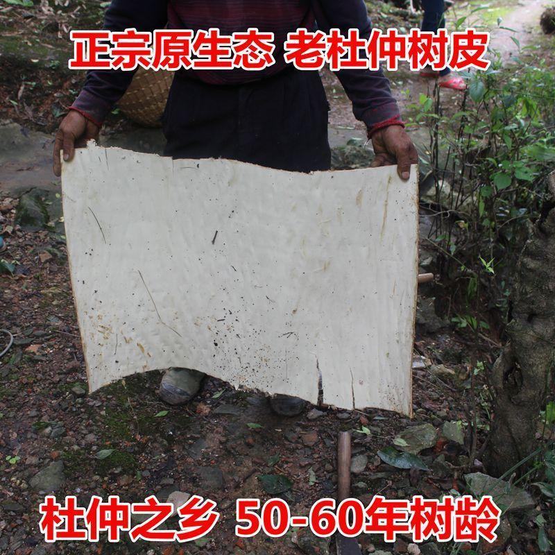 野生杜仲皮批发补腰略阳煲汤药材泡茶泡酒无熏硫杜仲中药材老