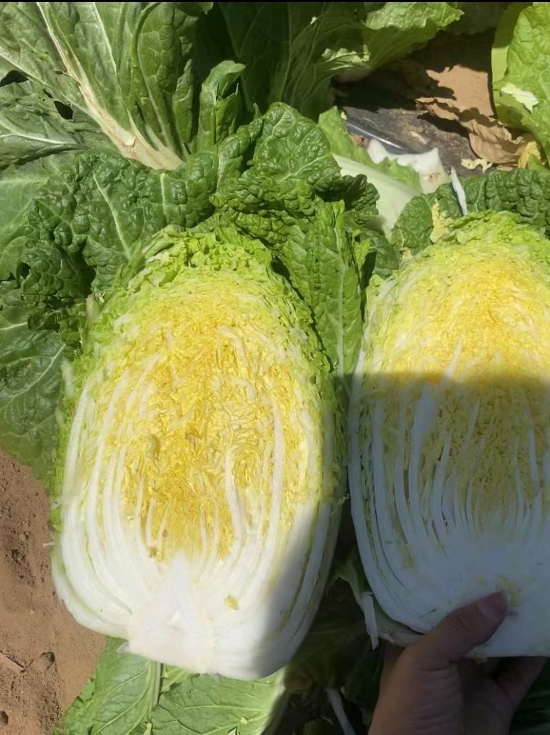 精品玲珑黄，黄心菜，保质保量，各种规格，品质，全国发货。