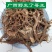 广西野生了哥王了哥王根带皮九信草根地棉皮根麻山豆中草