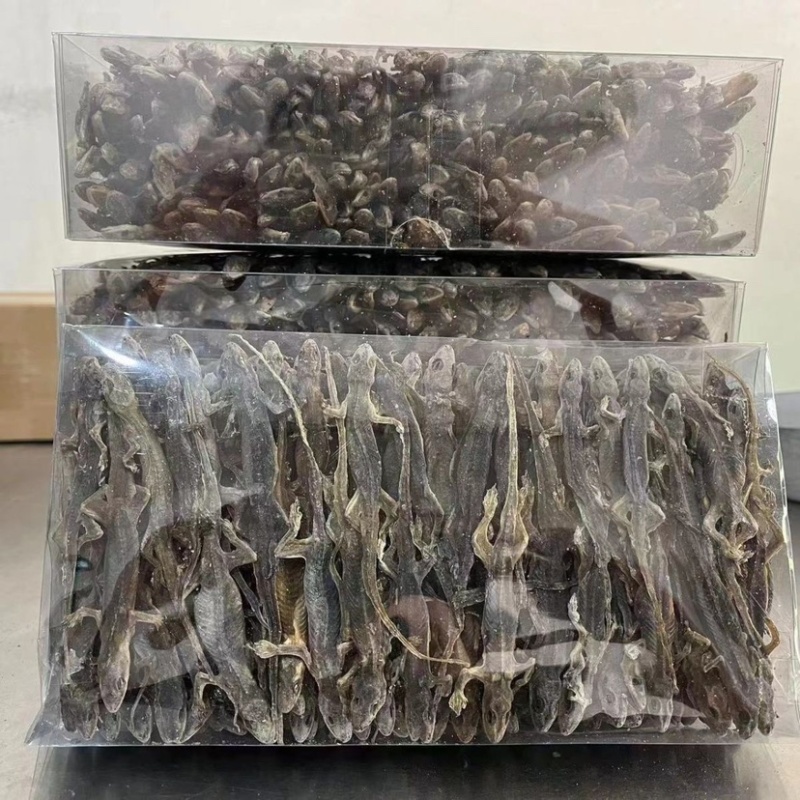 壁虎壁虎干天龙守宫一手货源包邮