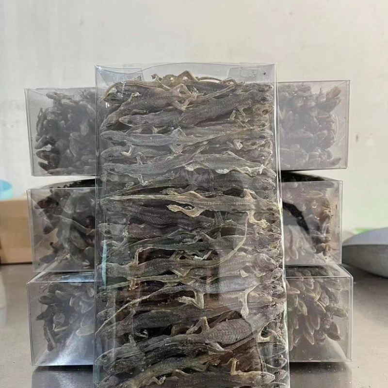 壁虎壁虎干天龙守宫一手货源包邮