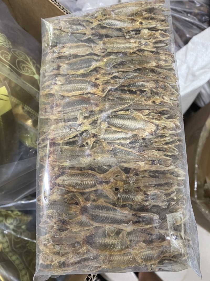 壁虎壁虎干天龙守宫一手货源包邮