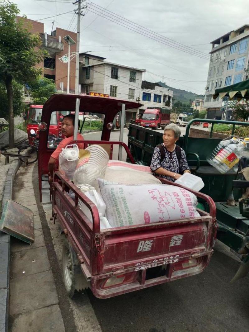 湖南湘西农家菜籽油！手机实拍，颜色金黄滴滴醇香家的味道