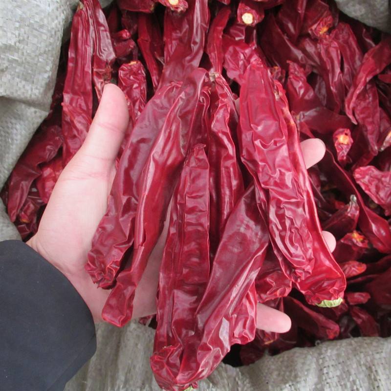 新疆辣椒板椒干辣椒一手货源产地直发对接各大批发商