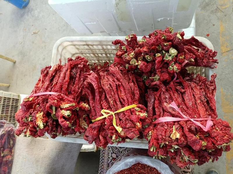 新疆辣椒板椒干辣椒一手货源产地直发对接各大批发商