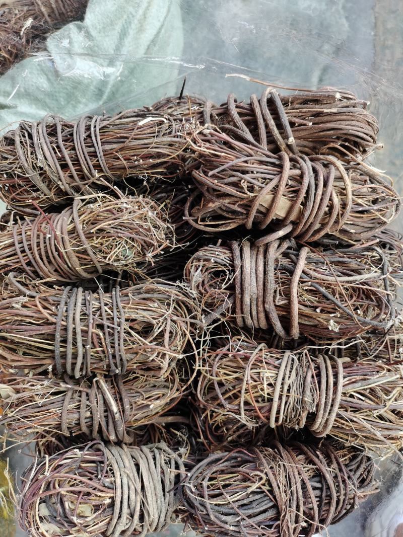 野生无叶小扎鸡骨草，无硫干度好，无包心，味道香，大量批发
