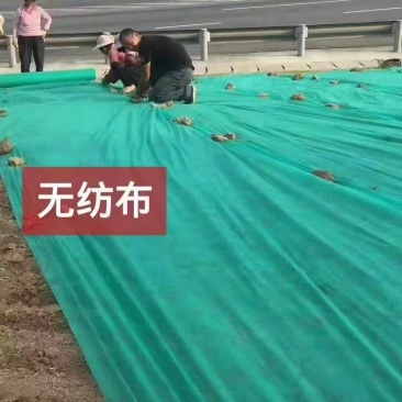 【无纺布】果蔬防寒无纺布绿化无纺布植草无纺布水稻育秧无纺布
