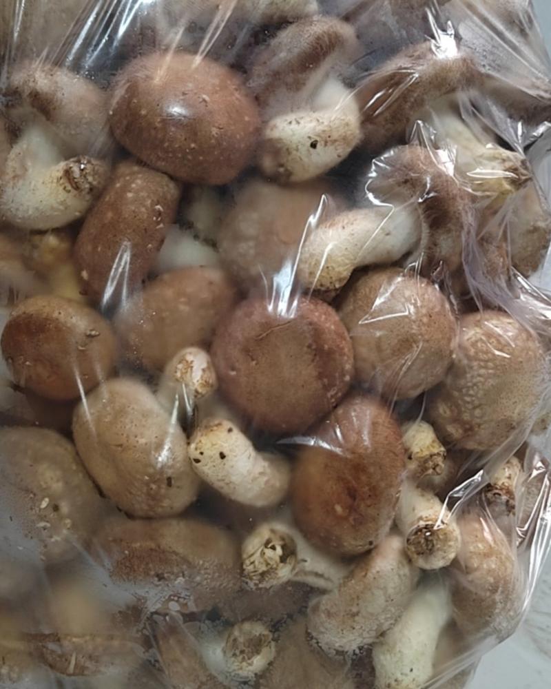 香菇，金针菇，杏鲍菇，海鲜菇，