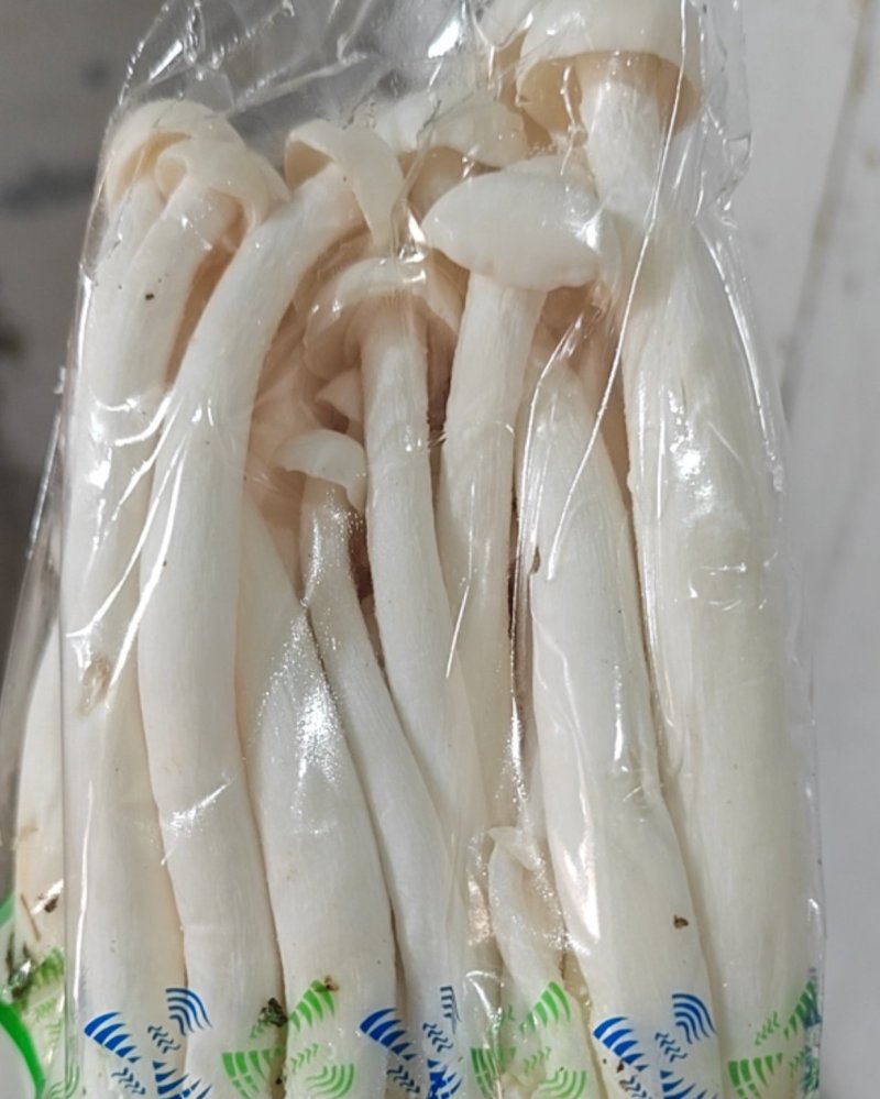 香菇，金针菇，杏鲍菇，海鲜菇，