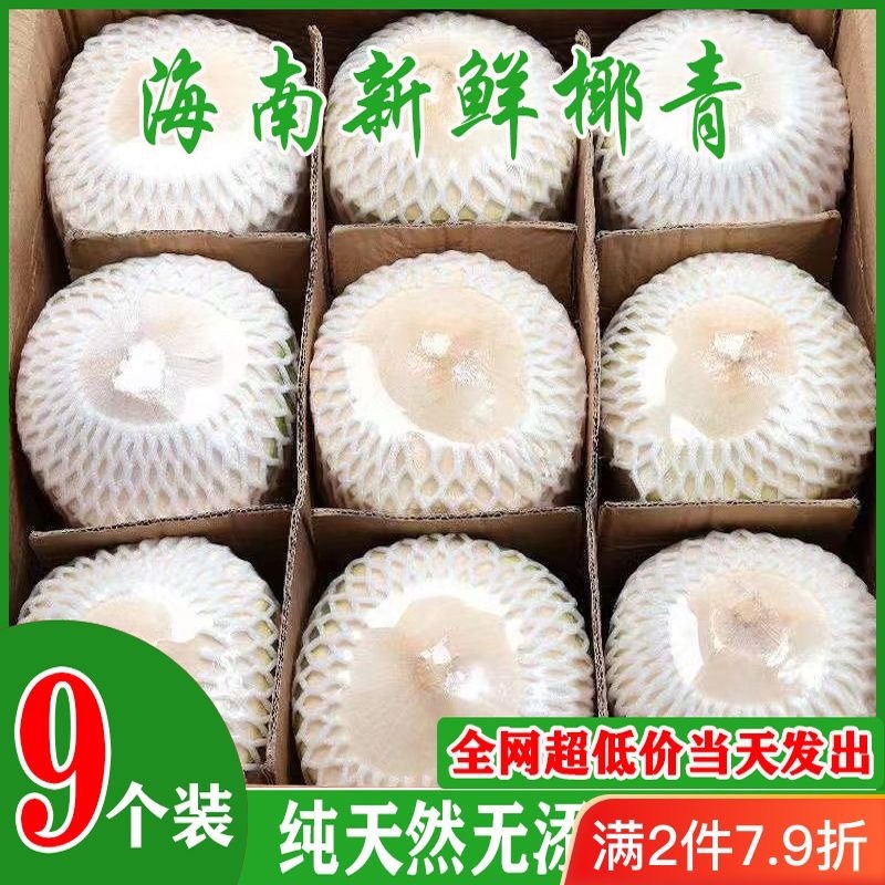 海南椰子椰青新鲜椰子削皮椰青9个装包邮一件代发