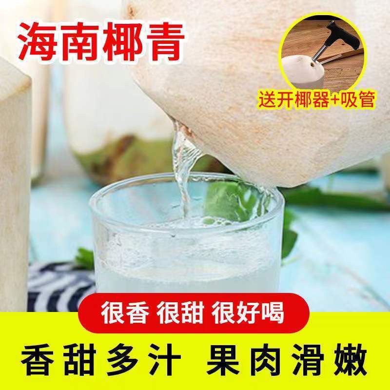 海南椰子椰青新鲜椰子削皮椰青9个装包邮一件代发