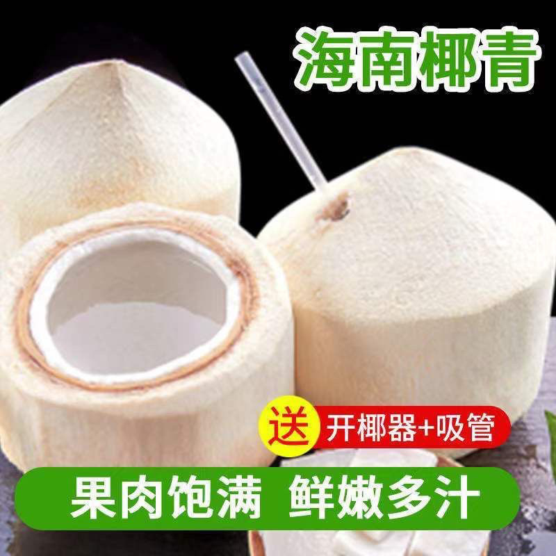 海南椰子椰青新鲜椰子削皮椰青9个装包邮一件代发