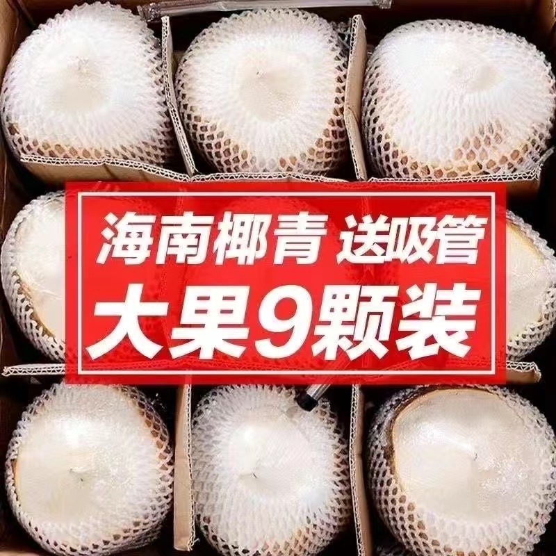 海南椰子椰青新鲜椰子削皮椰青9个装包邮一件代发
