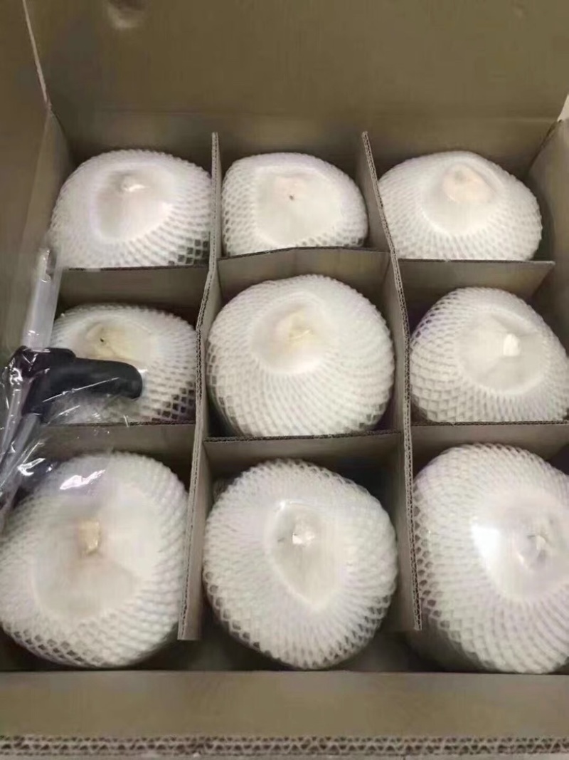 海南椰子椰青新鲜椰子削皮椰青9个装包邮一件代发