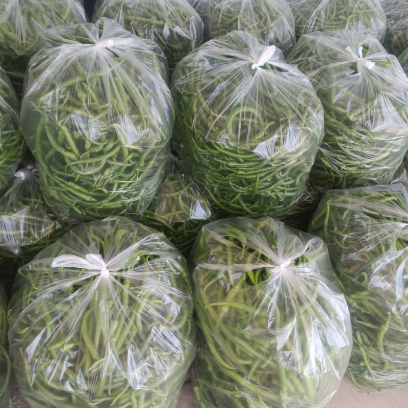 线椒，泡椒，青尖椒大量现货！免冷库用，需要长期合作