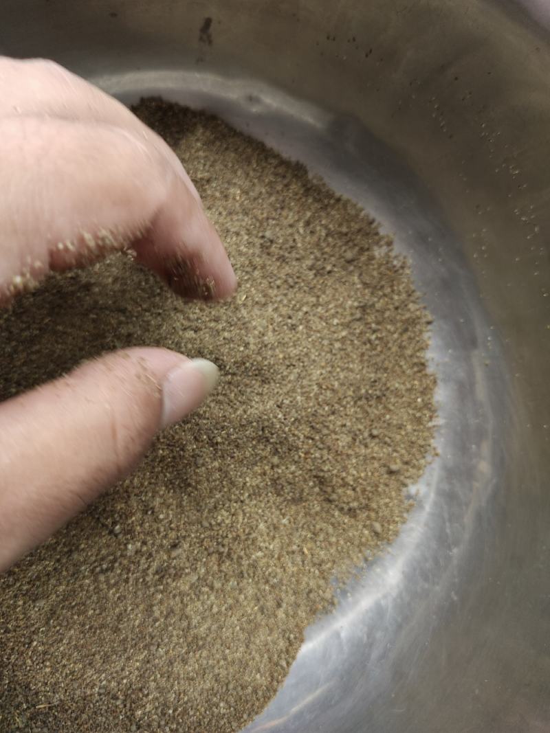 中药材沙蒿子颗粒，沙蒿粉食品级的野生沙蒿粉