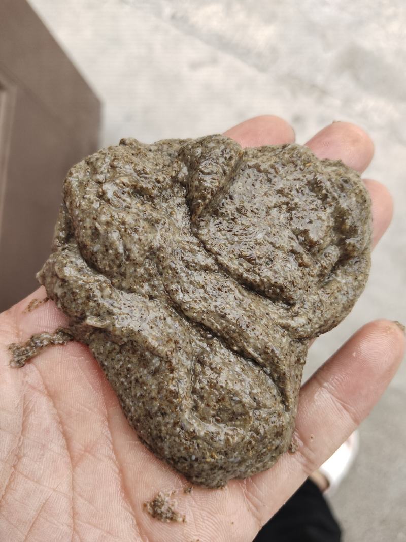 中药材沙蒿子颗粒，沙蒿粉食品级的野生沙蒿粉