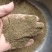 中药材沙蒿子颗粒，沙蒿粉食品级的野生沙蒿粉