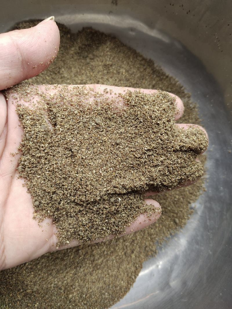 中药材沙蒿子颗粒，沙蒿粉食品级的野生沙蒿粉