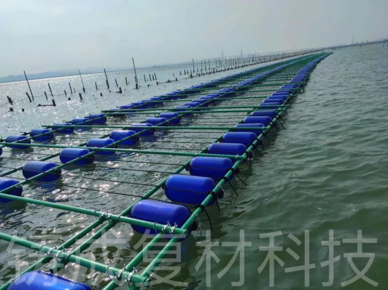 生蚝养殖生蚝蚝排水产养殖牛蛙养殖