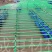 生蚝养殖生蚝蚝排水产养殖牛蛙养殖
